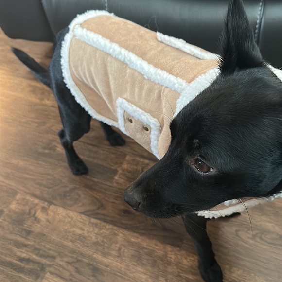 Dog coat Faux Sherpa M - Picture 2 of 10